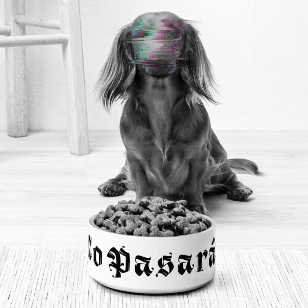 Bright room with a white dog food bowl for antifascist dogs, that has the words 'no pasaran' printed on, a little dog standing behind it, it's face is hidden behind colourful glitches